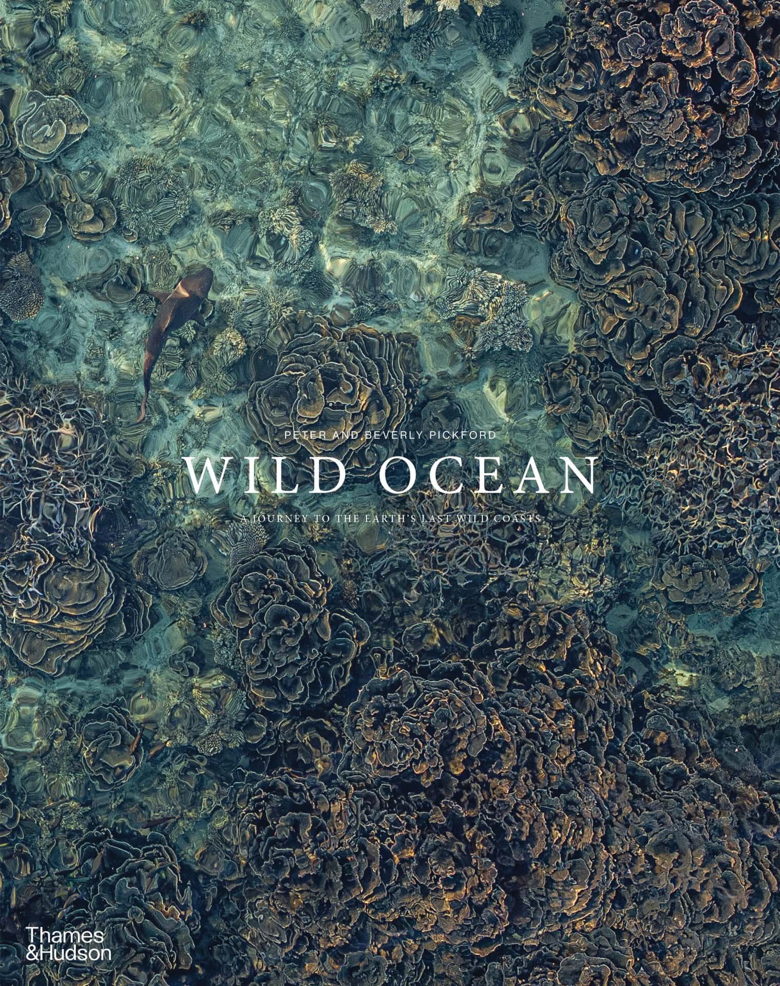 Wild Ocean